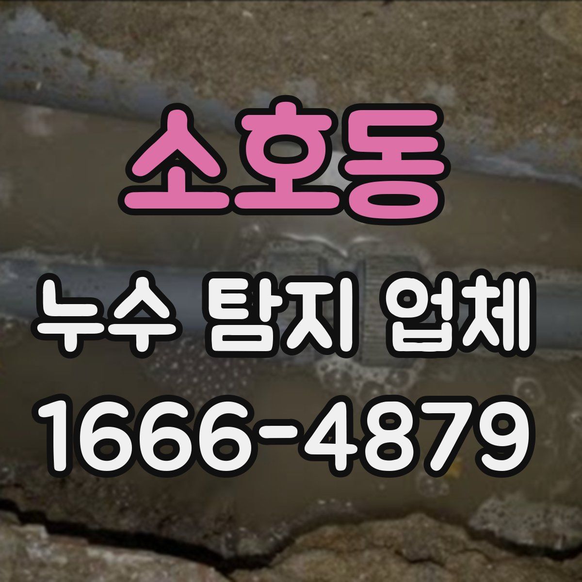 소호동 누수 탐지 업체