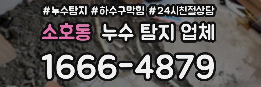 소호동 누수 탐지 업체