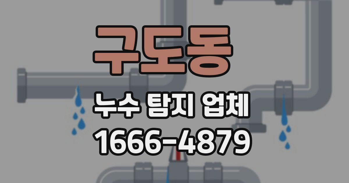 구도동 누수 탐지 업체