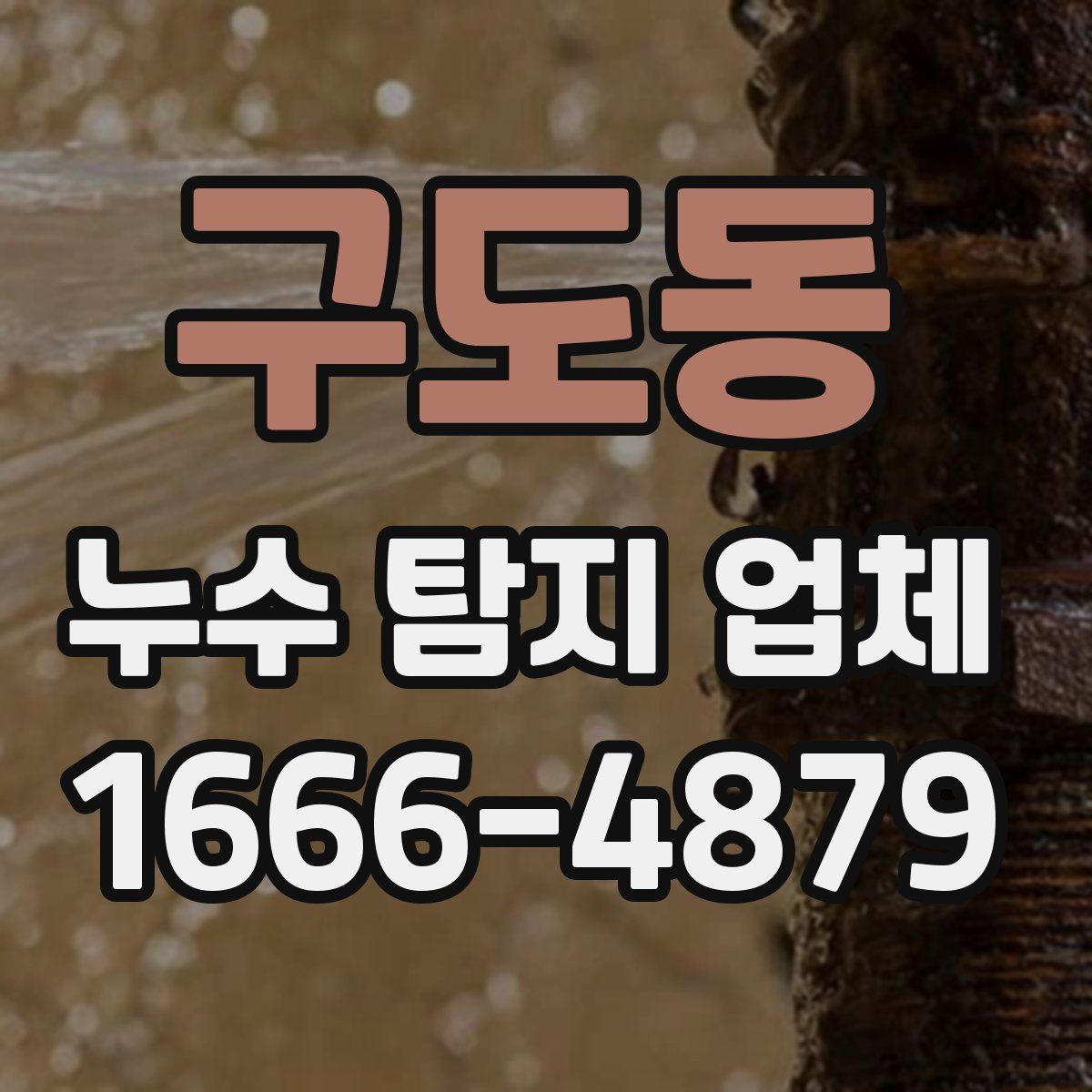 구도동 누수 탐지 업체