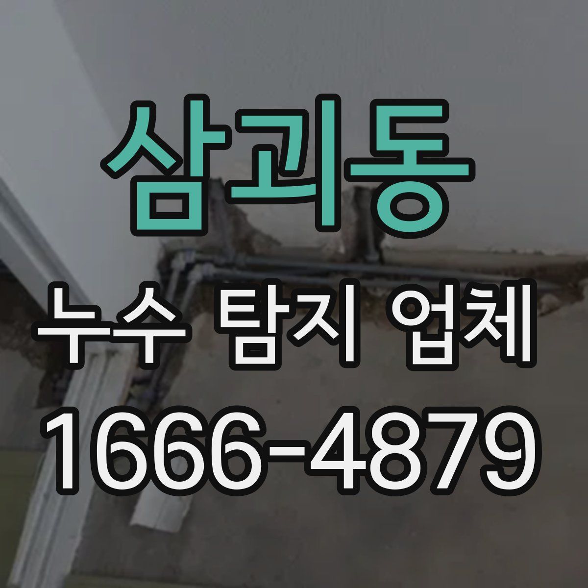 삼괴동 누수 탐지 업체