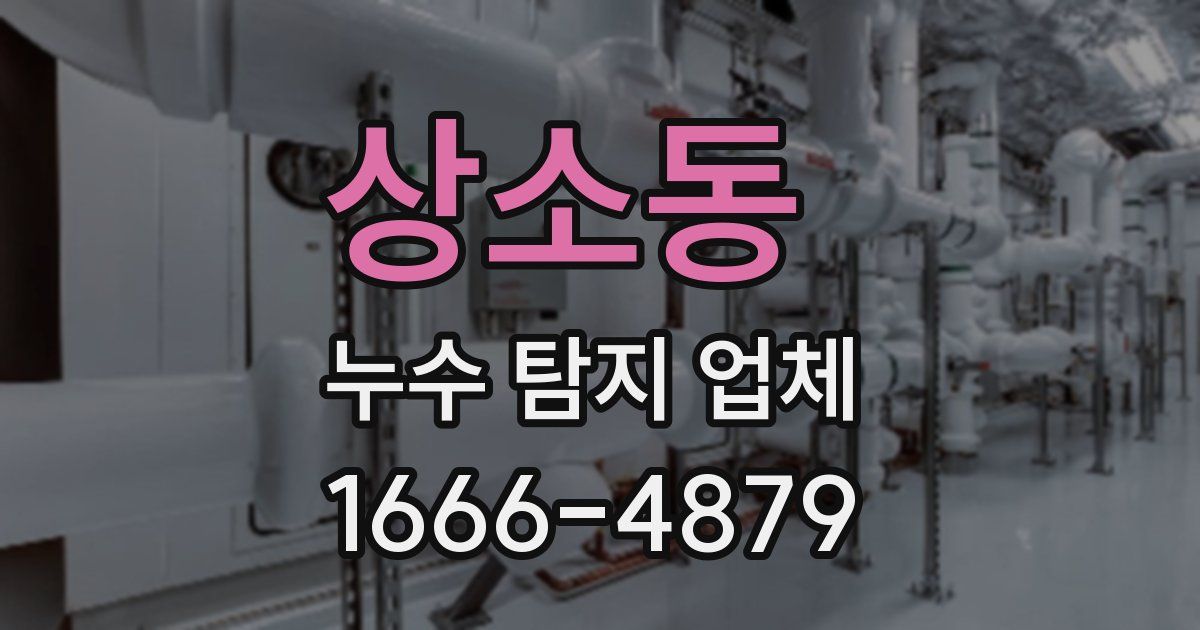 상소동 누수 탐지 업체