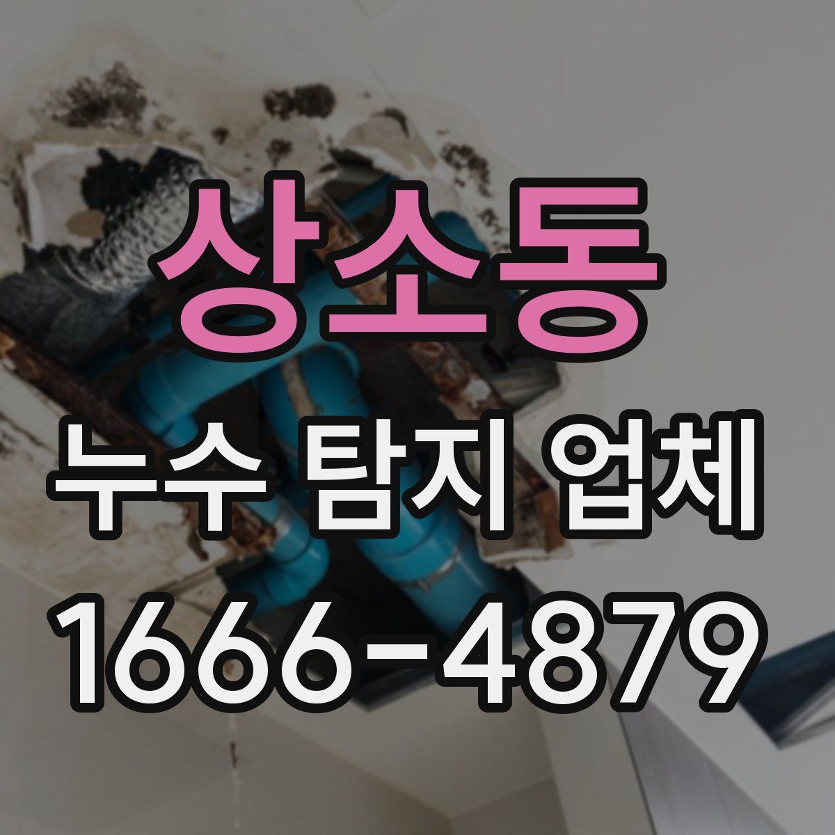 상소동 누수 탐지 업체
