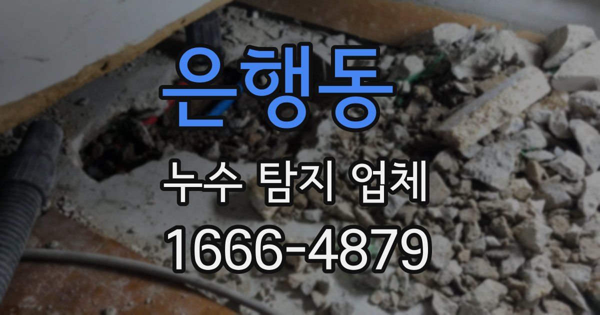 은행동 누수 탐지 업체