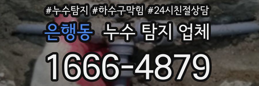 은행동 누수 탐지 업체