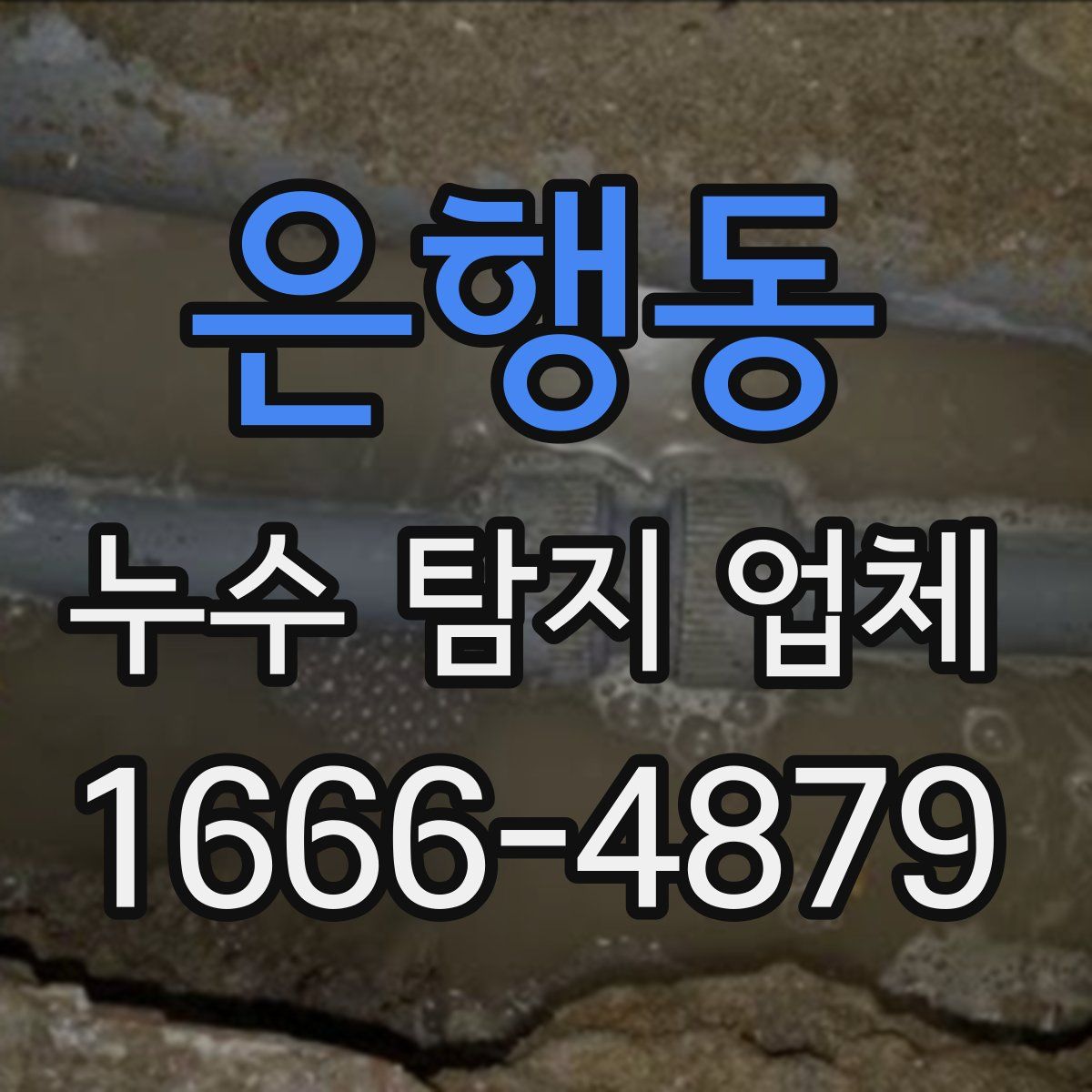 은행동 누수 탐지 업체
