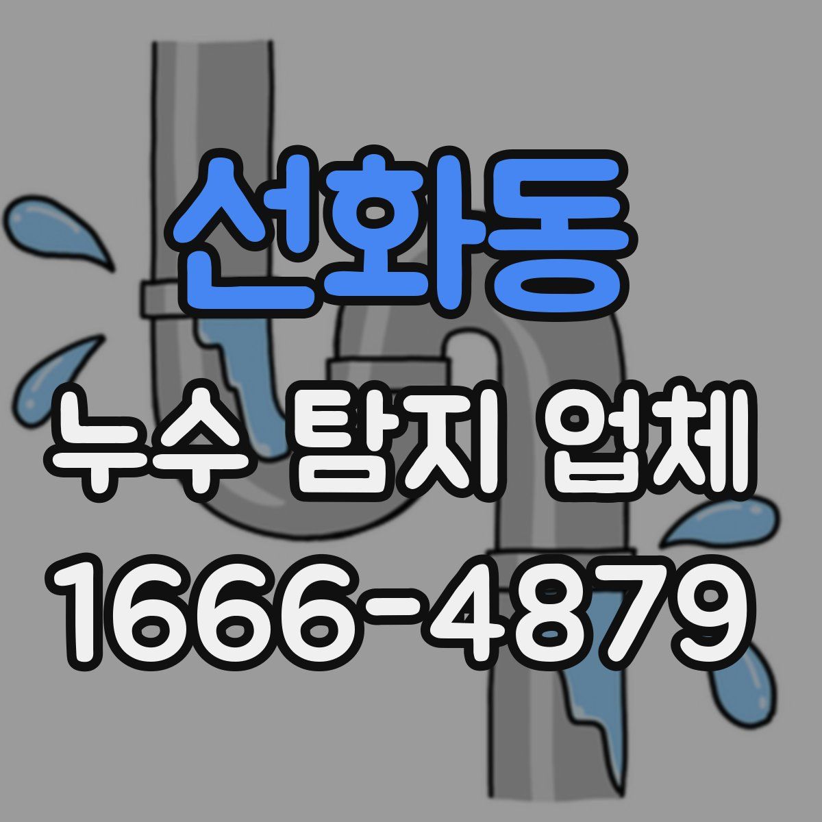 선화동 누수 탐지 업체
