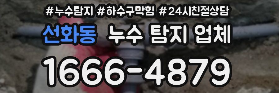 선화동 누수 탐지 업체