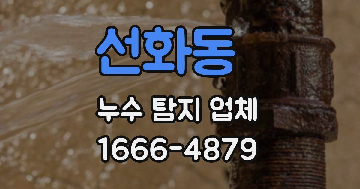 선화동 누수 탐지 업체