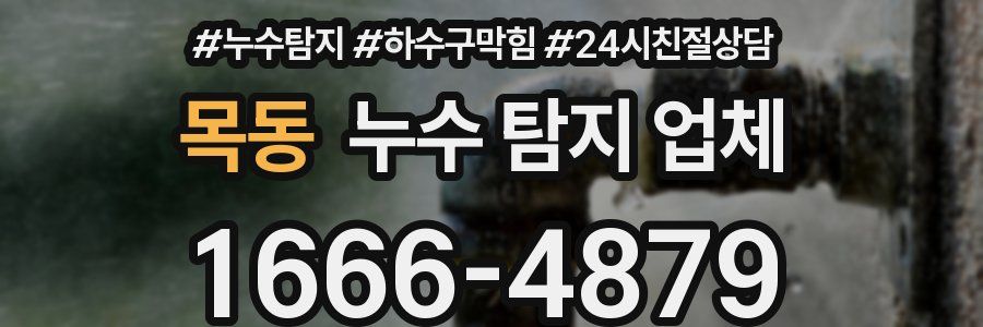 목동 누수 탐지 업체