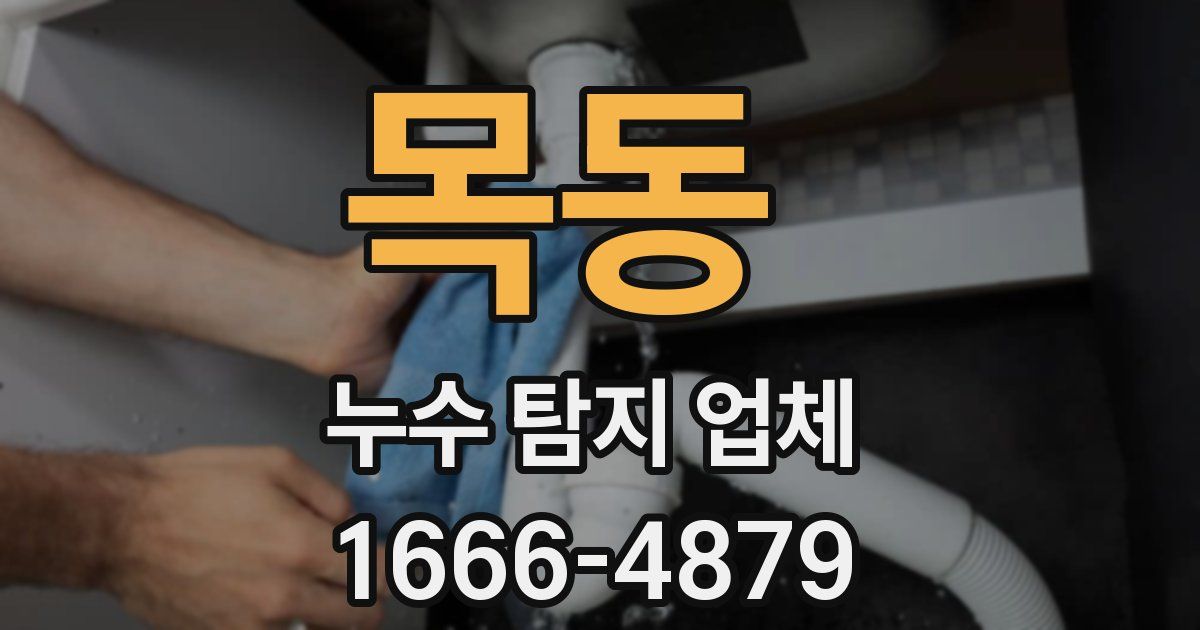 목동 누수 탐지 업체