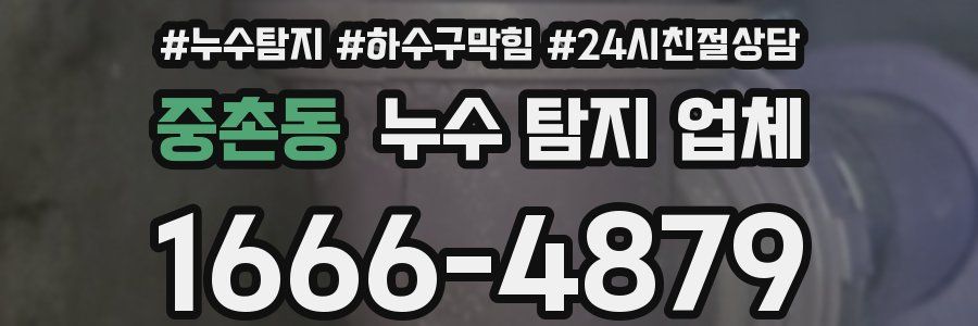 중촌동 누수 탐지 업체