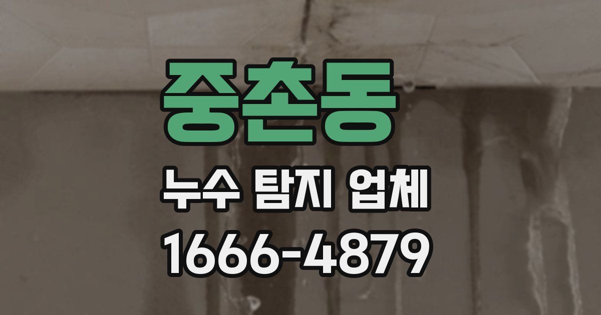 중촌동 누수 탐지 업체