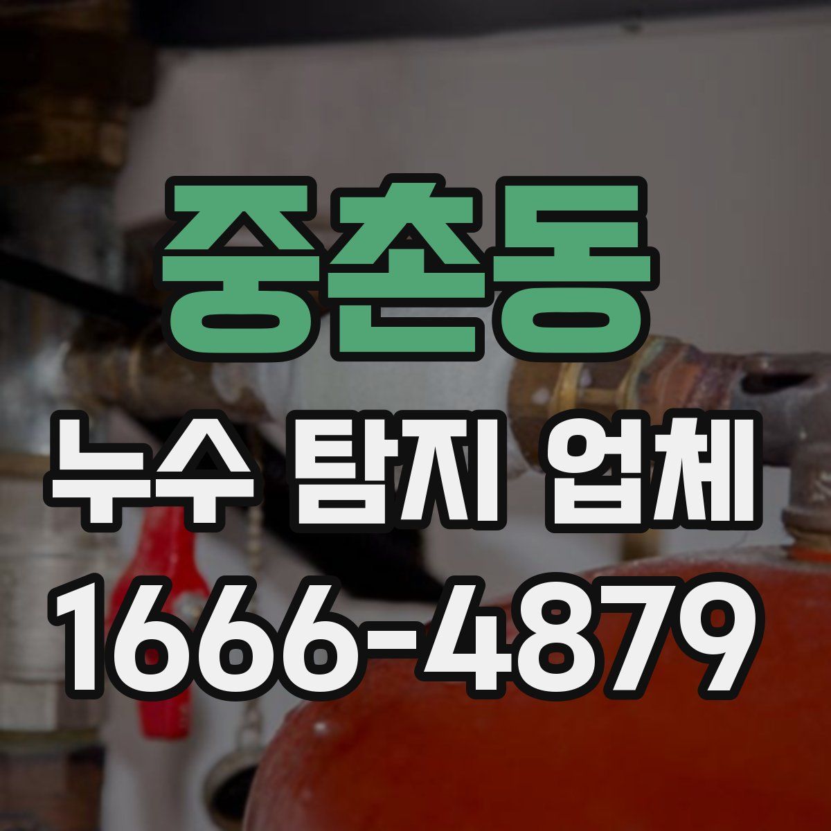 중촌동 누수 탐지 업체