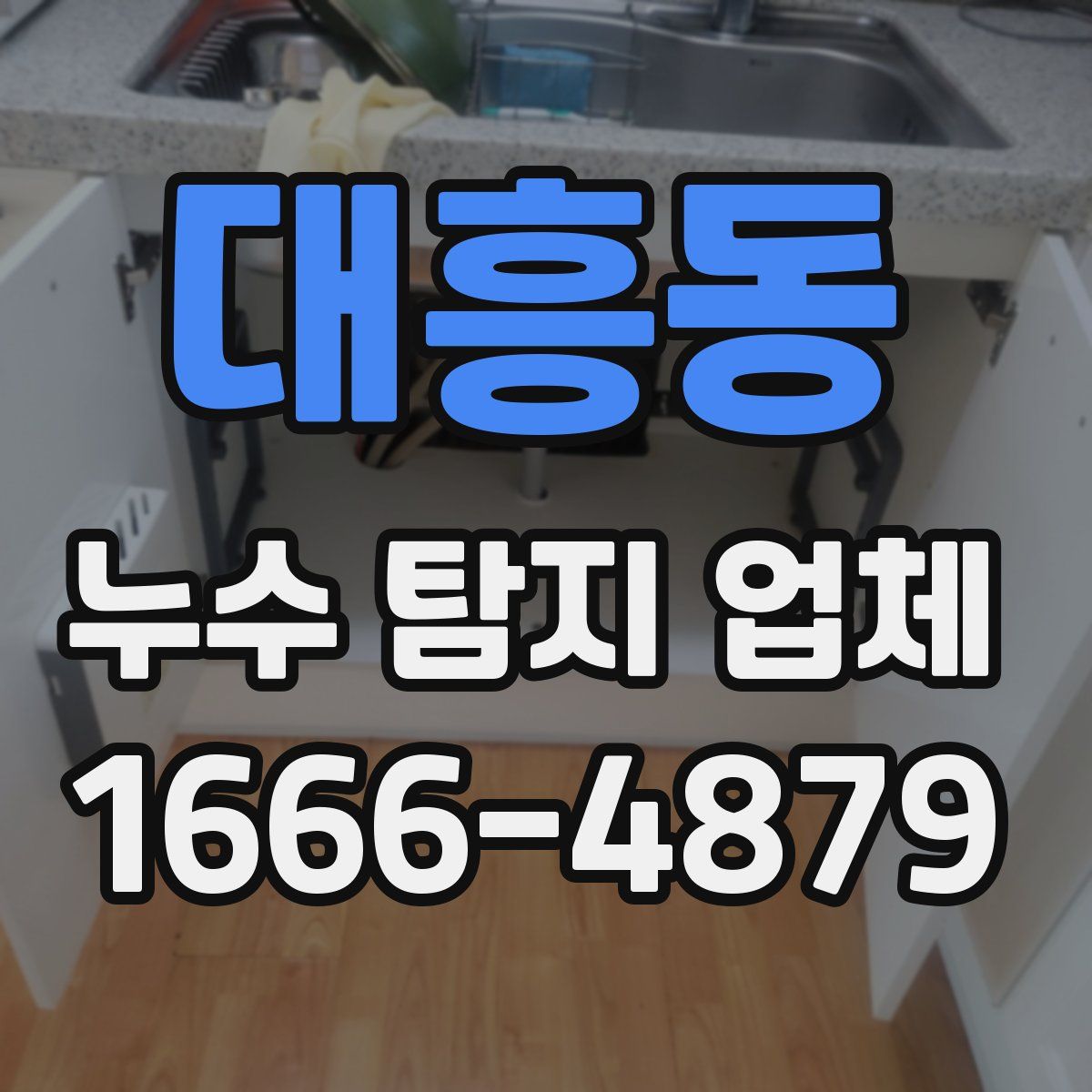 대흥동 누수 탐지 업체