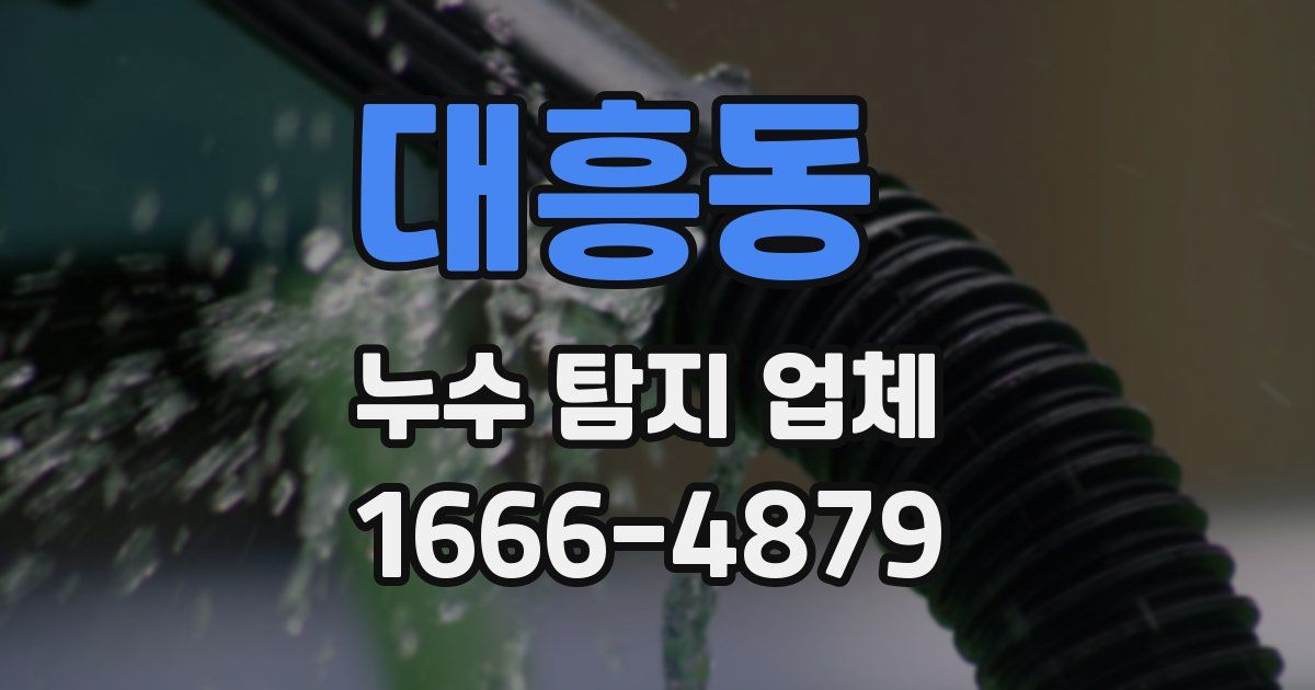대흥동 누수 탐지 업체