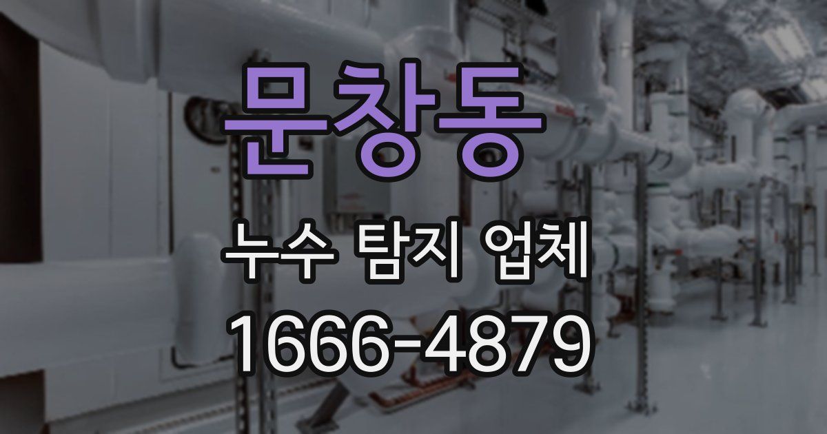 문창동 누수 탐지 업체
