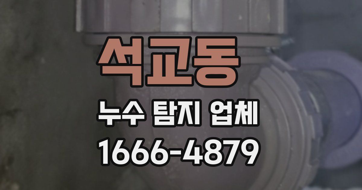 석교동 누수 탐지 업체