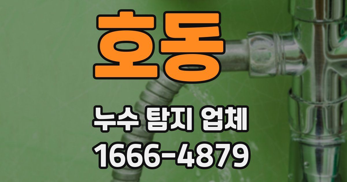 호동 누수 탐지 업체