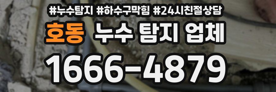 호동 누수 탐지 업체