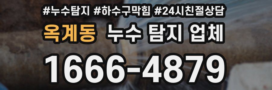 옥계동 누수 탐지 업체