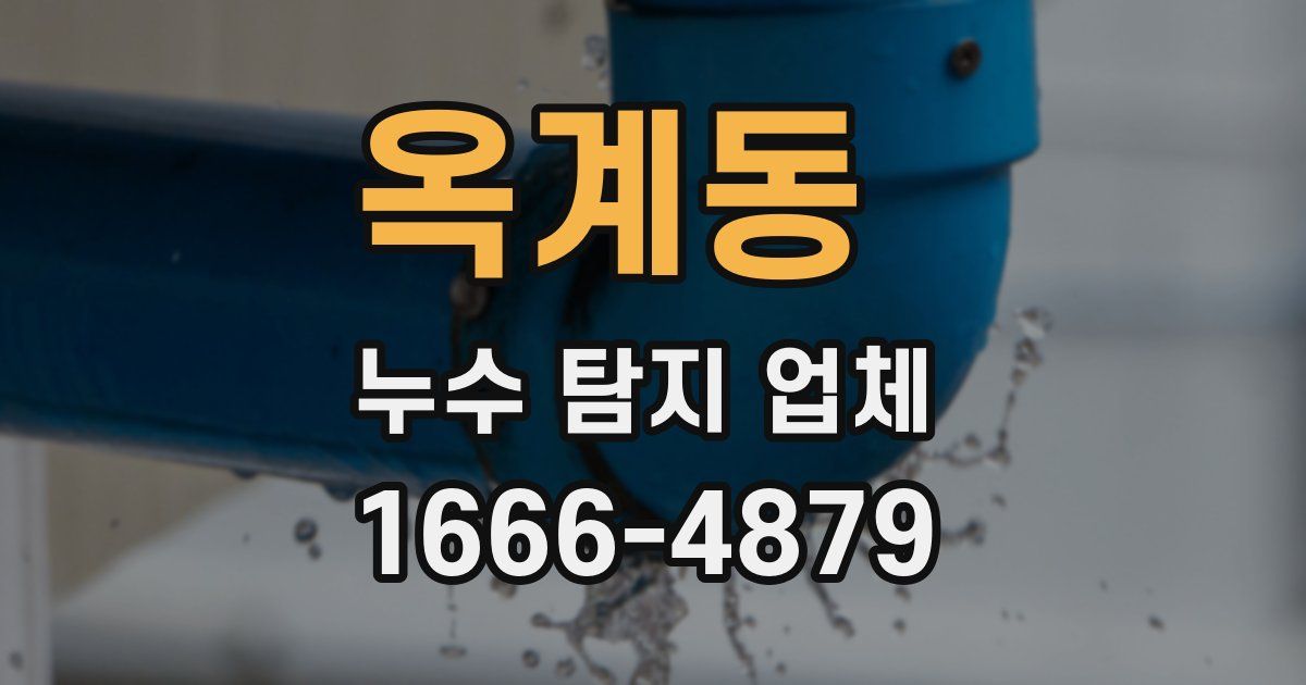 옥계동 누수 탐지 업체