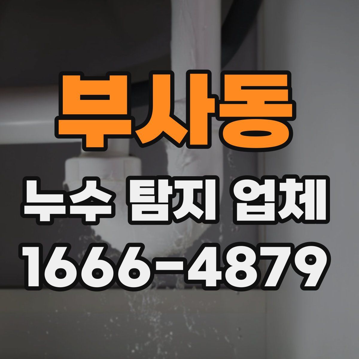 부사동 누수 탐지 업체