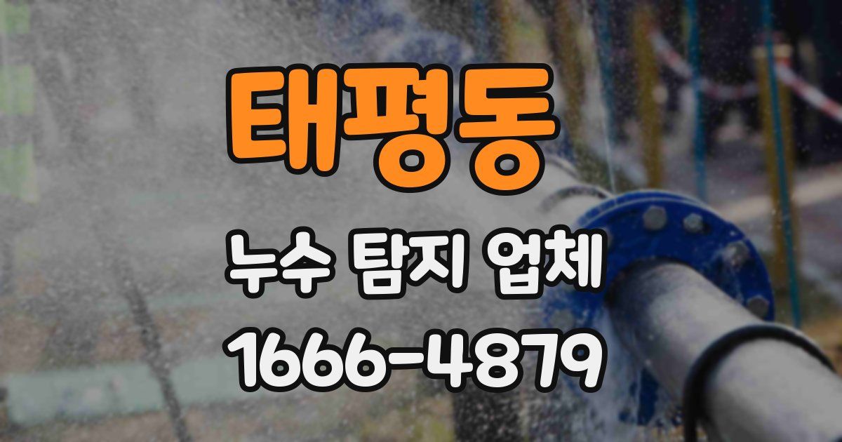태평동 누수 탐지 업체
