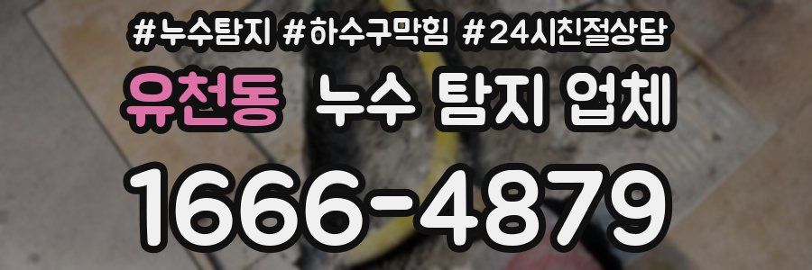 유천동 누수 탐지 업체