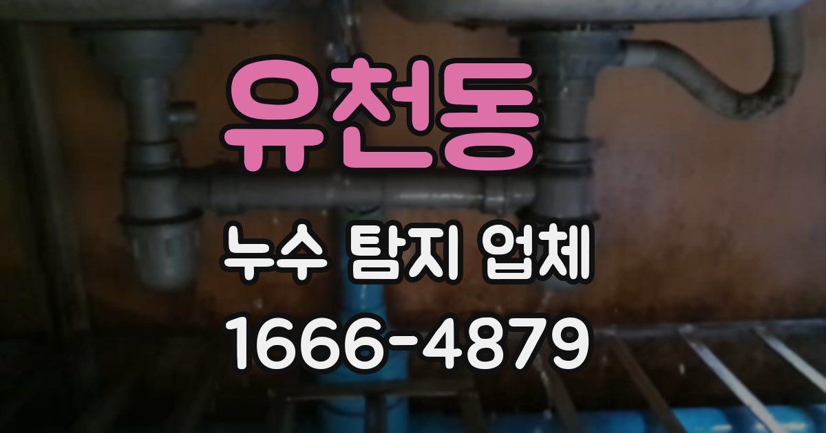 유천동 누수 탐지 업체