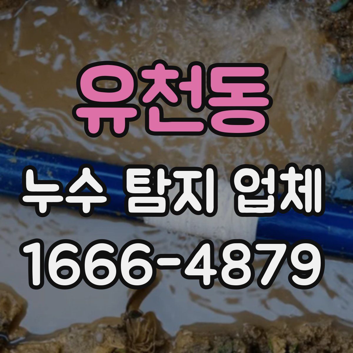유천동 누수 탐지 업체