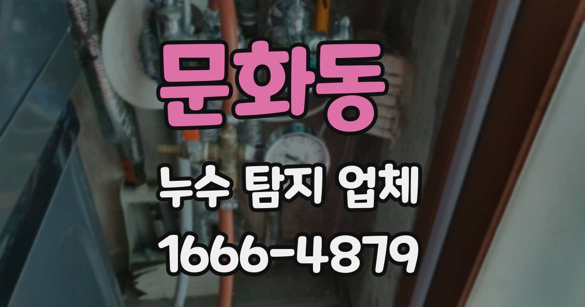 문화동 누수 탐지 업체