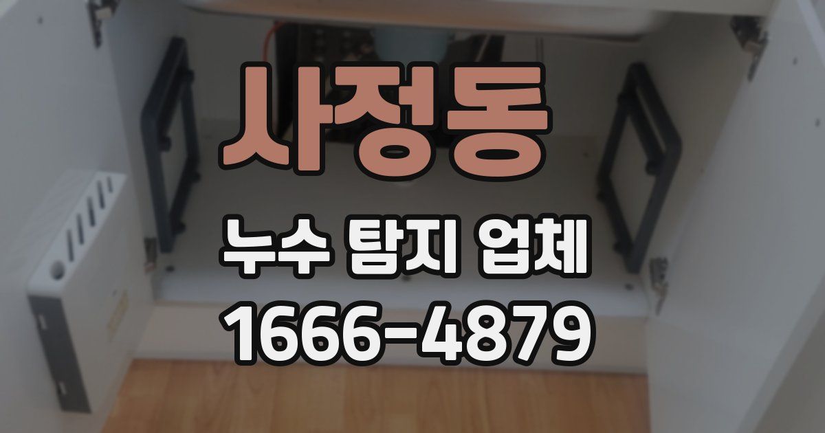 사정동 누수 탐지 업체