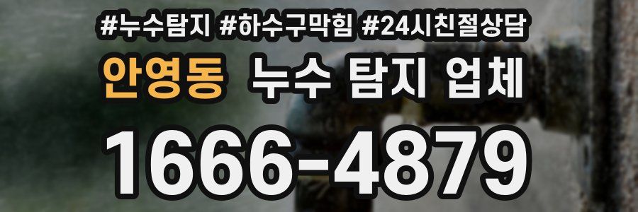 안영동 누수 탐지 업체