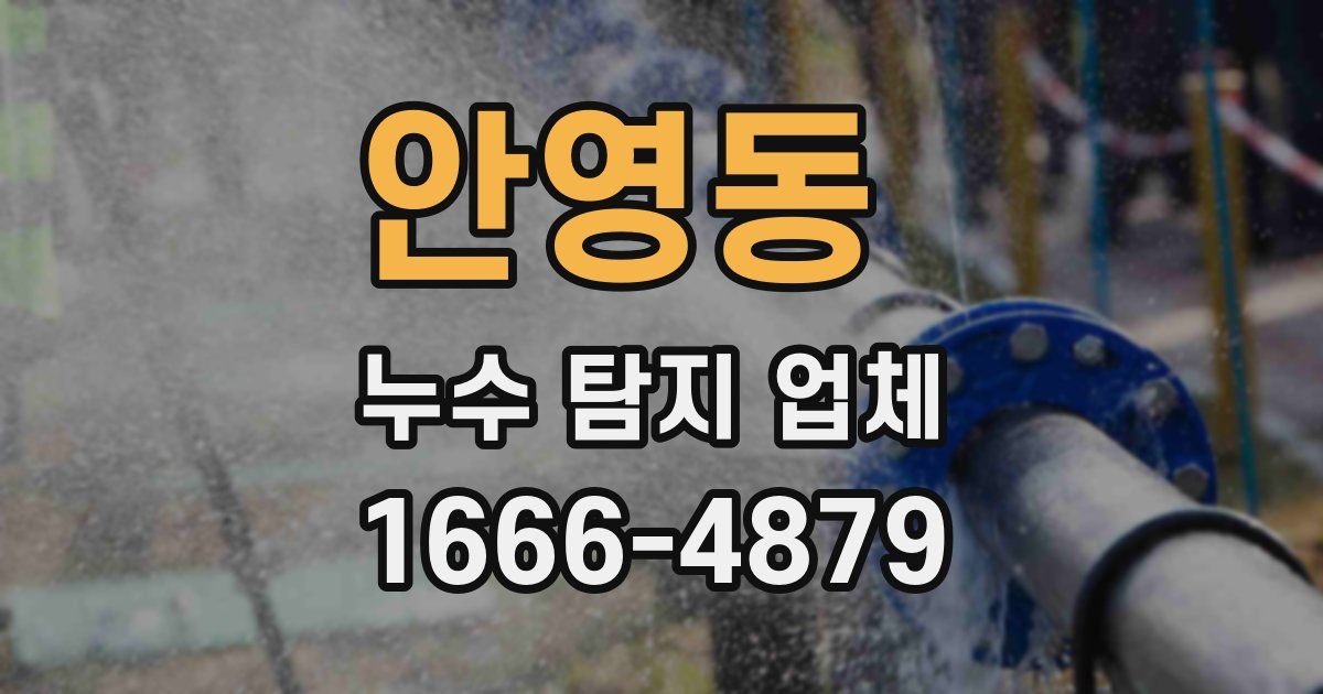 안영동 누수 탐지 업체