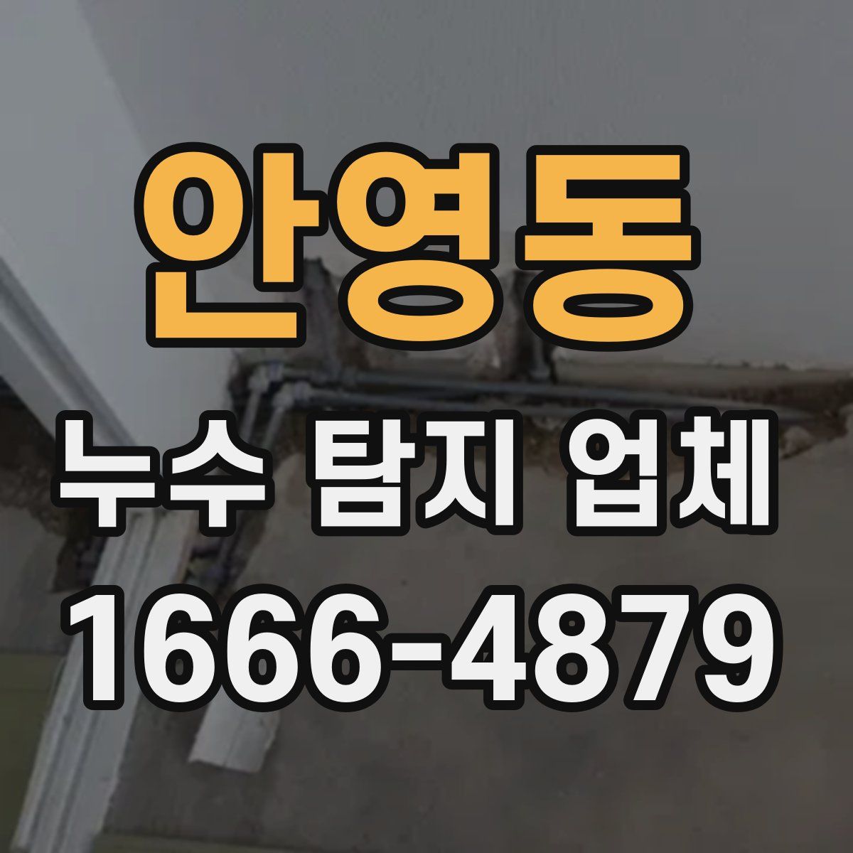 안영동 누수 탐지 업체