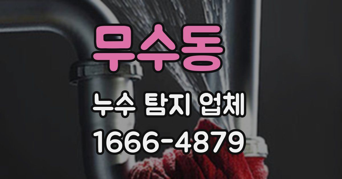 무수동 누수 탐지 업체