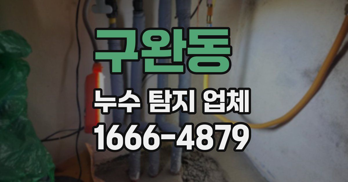 구완동 누수 탐지 업체