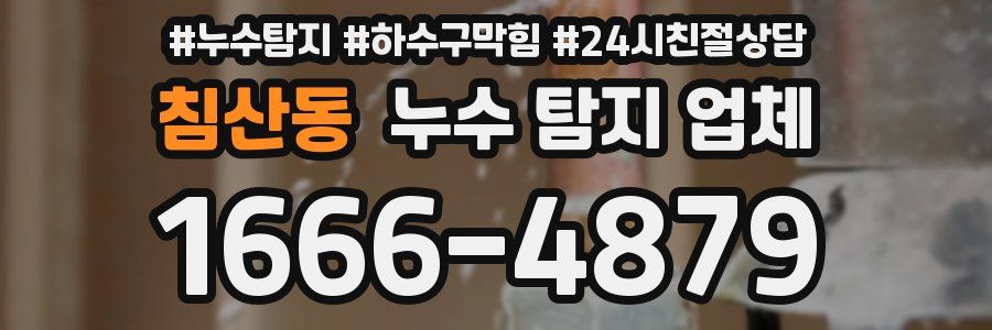 침산동 누수 탐지 업체
