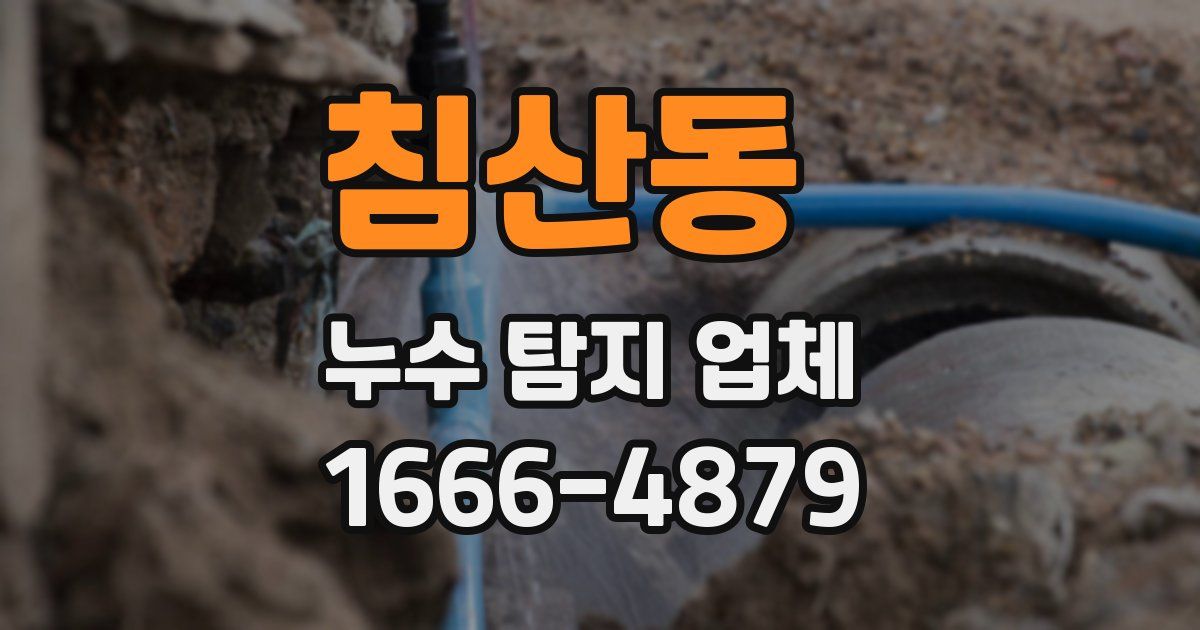 침산동 누수 탐지 업체
