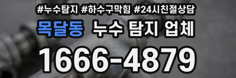 목달동 누수 탐지 업체