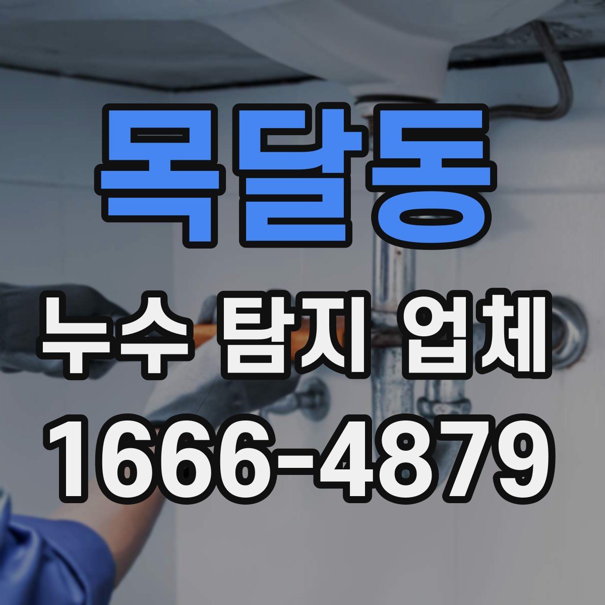 목달동 누수 탐지 업체