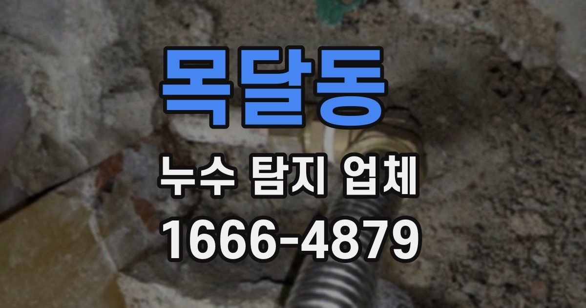목달동 누수 탐지 업체