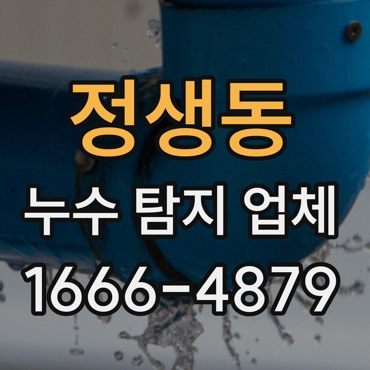 정생동 누수 탐지 업체