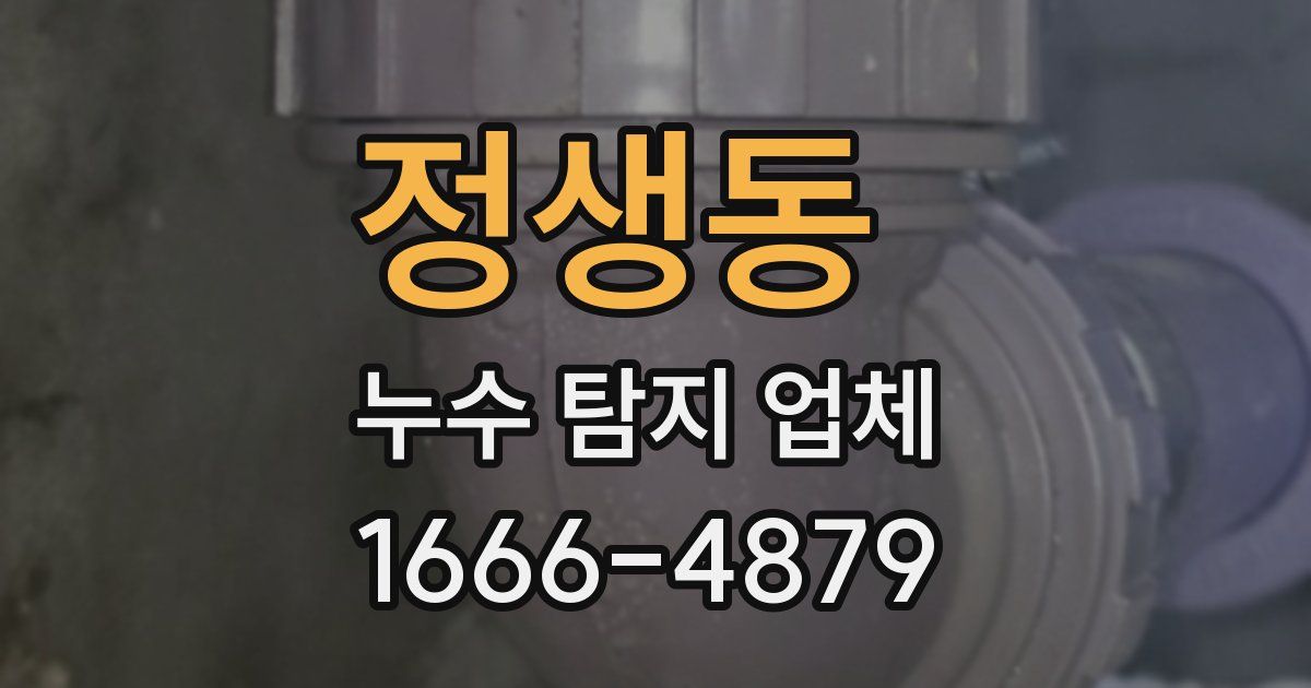정생동 누수 탐지 업체