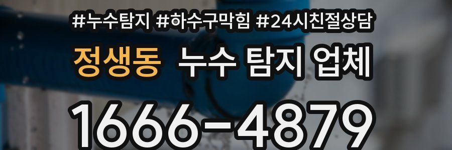 정생동 누수 탐지 업체