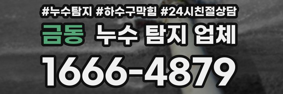 금동 누수 탐지 업체