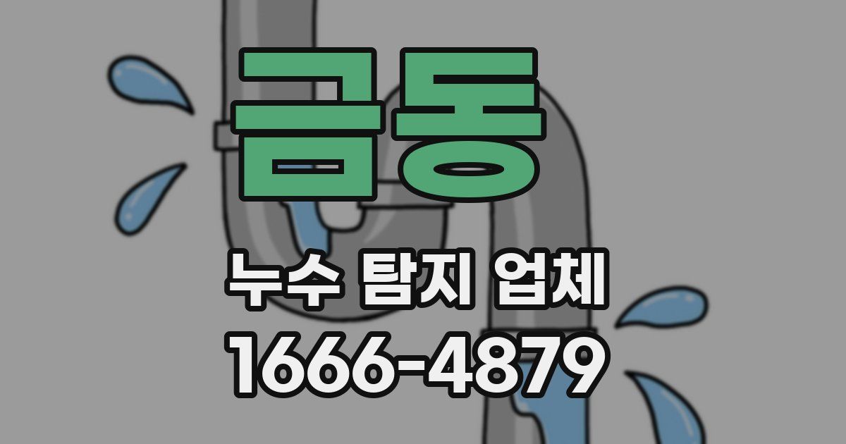 금동 누수 탐지 업체