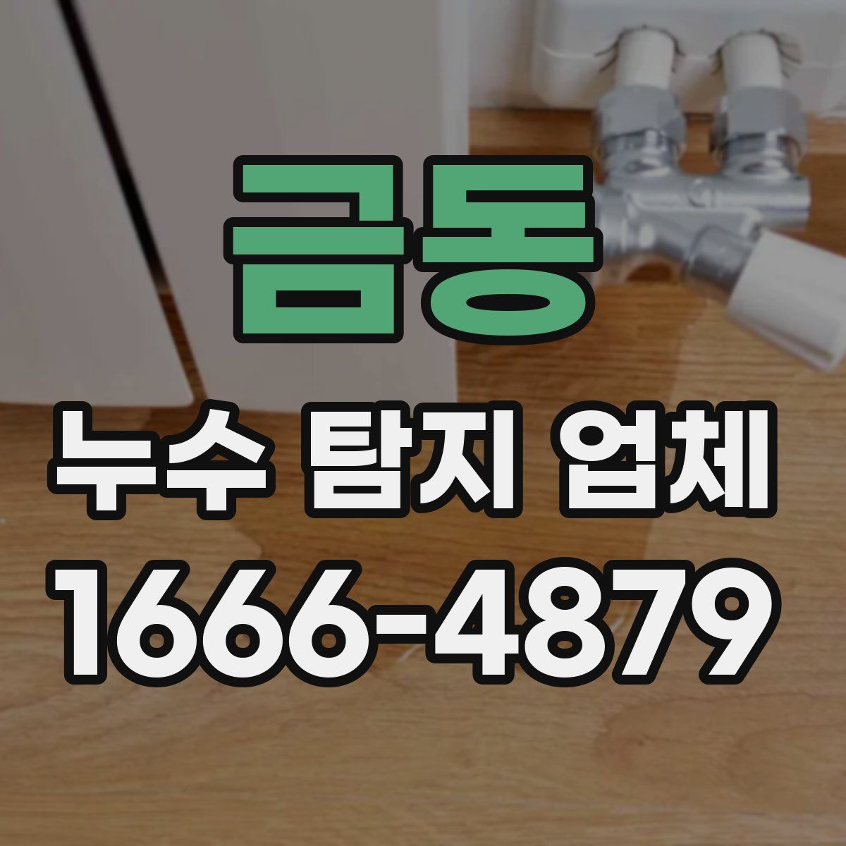 금동 누수 탐지 업체