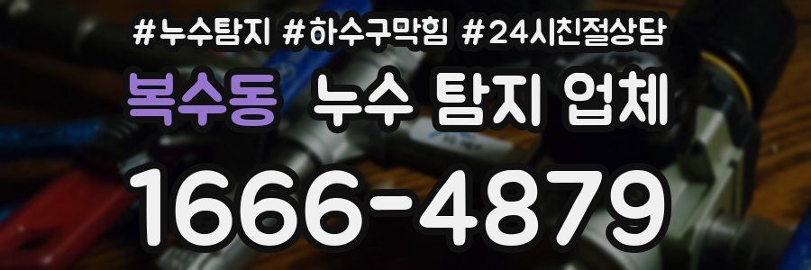 복수동 누수 탐지 업체